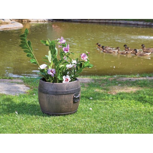 Саксия Буренце малка S