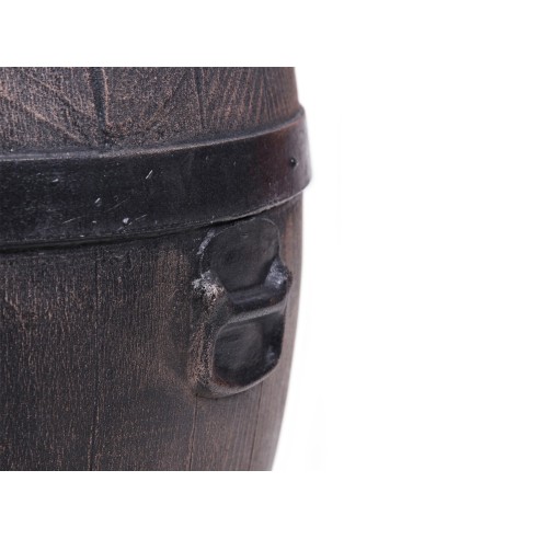 Саксия Буренце голяма L - 2