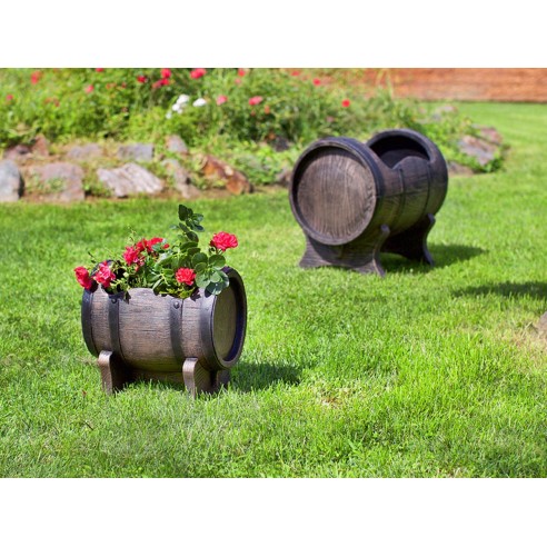 Саксия Салса малка S - 2