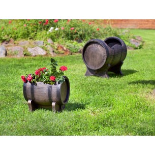 Саксия Салса голяма L 2