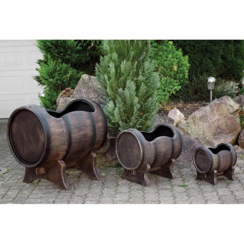 Саксия Салса голяма L