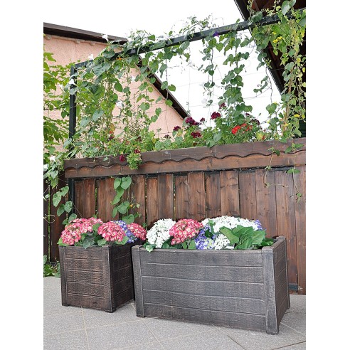 Саксия Теак S