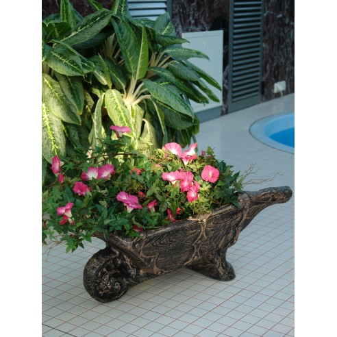 Саксия Количка градинска