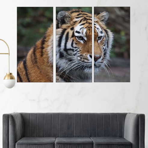 Портрет на тигър - картина пано за стена - 2
