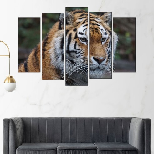 Портрет на тигър - картина пано за стена - 3