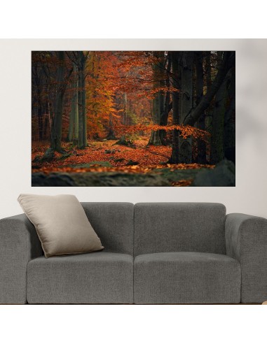 Есен в гората - картина пано за стена - 1