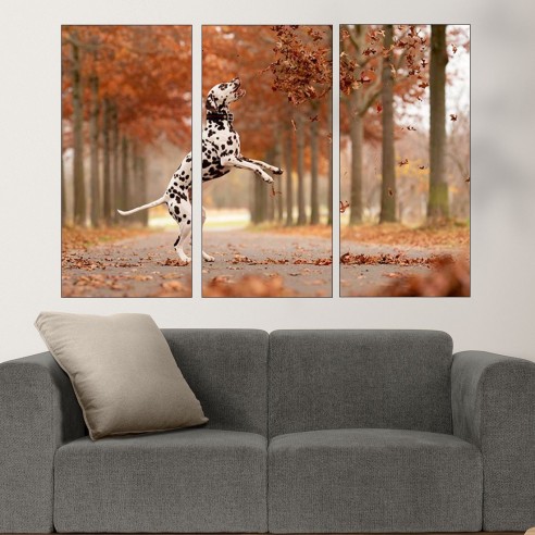 Далматинец си играе с листата - картина пано за стена - 2