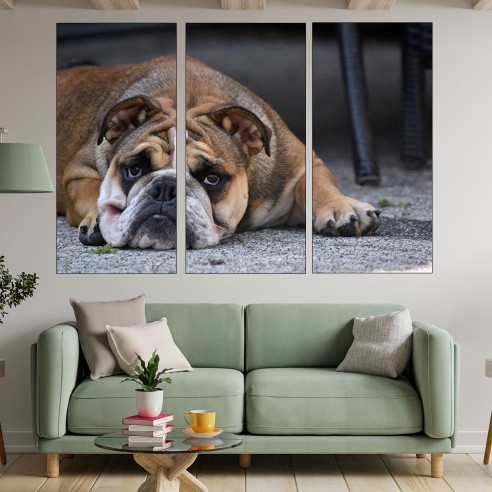 Портрет на легнало куче булдог - картина пано за стена - 2