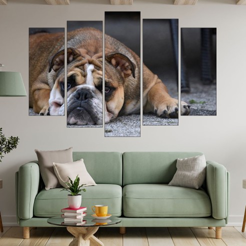 Портрет на легнало куче булдог - картина пано за стена - 3