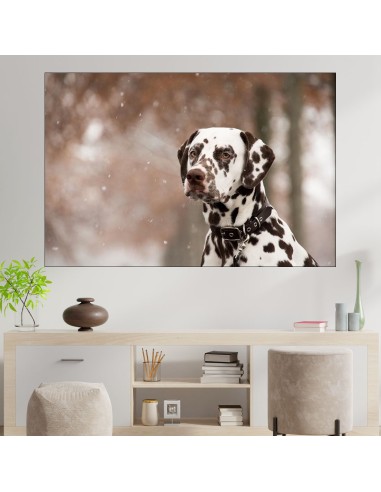 Портрет на далматинец в снега - картина пано за стена - 1