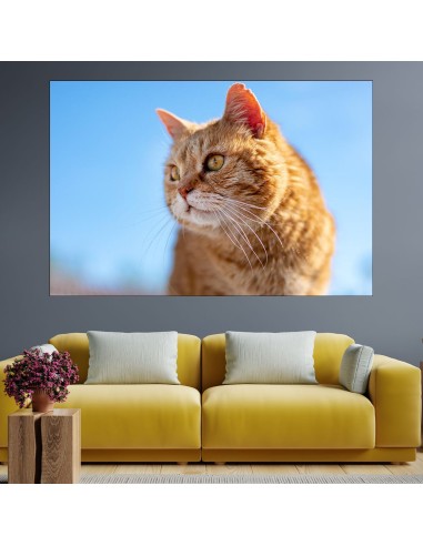 Потрет на рижа котка - картина пано за стена - 1