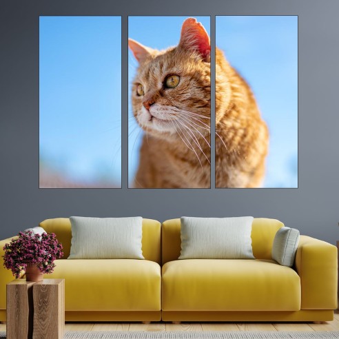 Потрет на рижа котка - картина пано за стена - 2