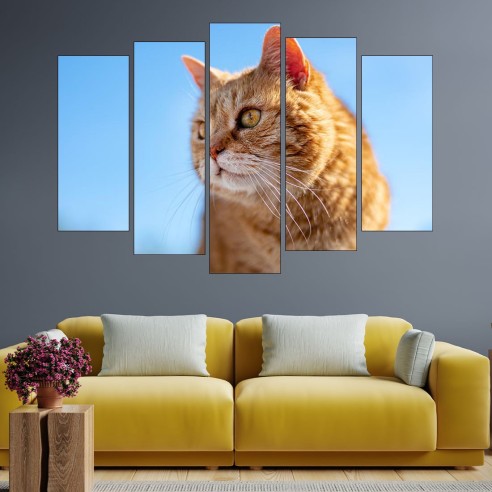 Потрет на рижа котка - картина пано за стена - 3