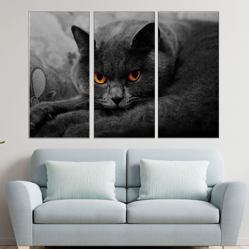 Британска дългокосместа котка - картина пано за стена - 2