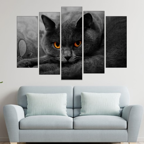 Британска дългокосместа котка - картина пано за стена - 3