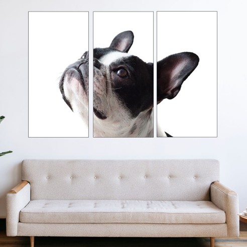 Портрет на френски булдог - картина пано за стена - 2