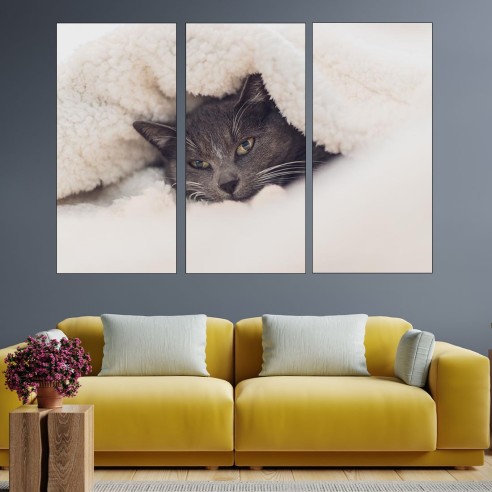 Сиво коте под одеалото  - картина пано за стена - 2