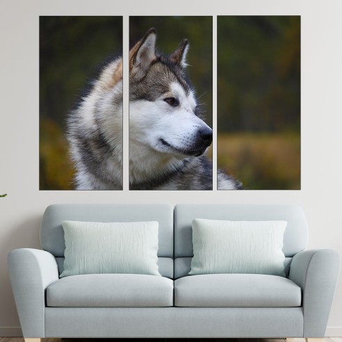 Портрет на Аляски маламут - картина пано за стена - 2
