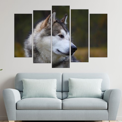 Портрет на Аляски маламут - картина пано за стена - 3