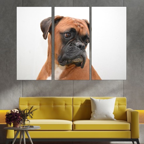 Потрет на куче боксер - близък план - картина пано за стена - 2