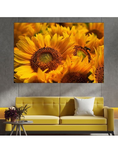 Цъфнали жълти слънчогледи - картина пано за стена - 1