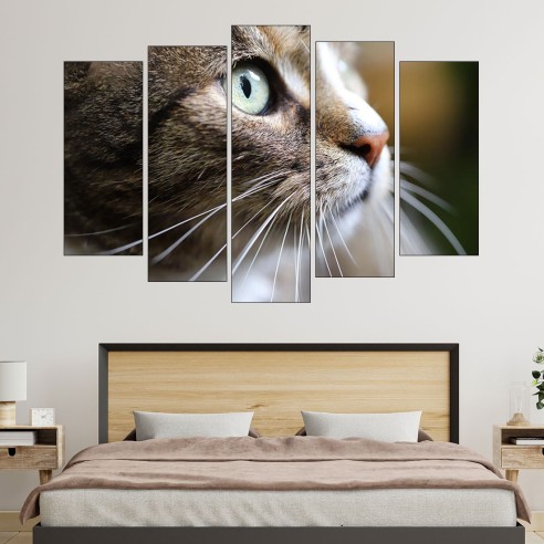 Макро снимка на коте - картина за стена - 3