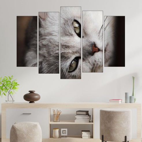 Сива котка в близък план - картина пано за стена - 3
