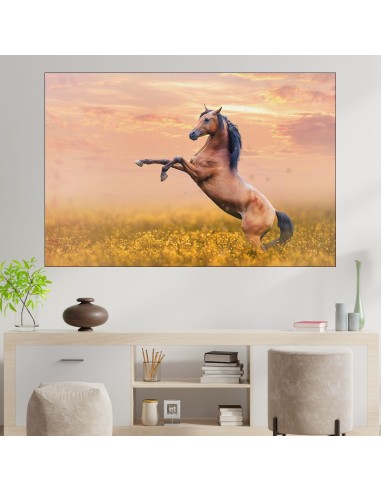 Красив кон в ливада - картина пано за стена