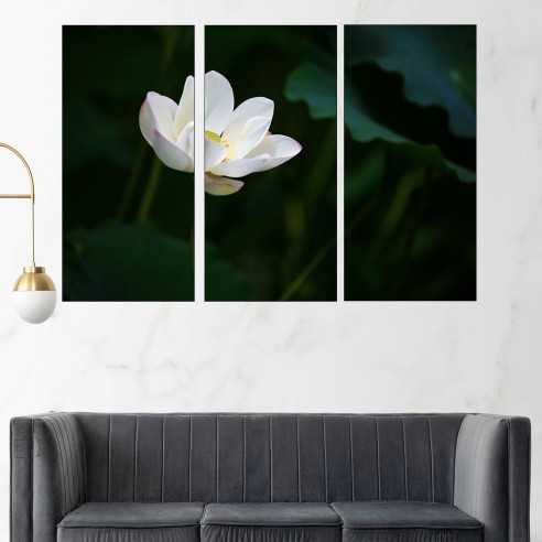 Цъфнал бял лотос - картина пано за стена - 2