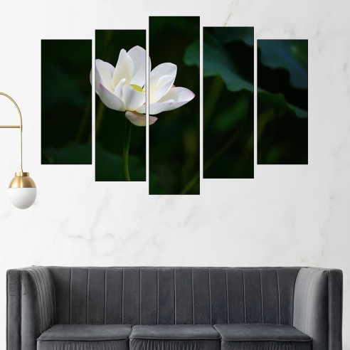Цъфнал бял лотос - картина пано за стена - 3