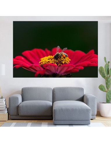 Пчела върху циния - картина пано за стена - 1