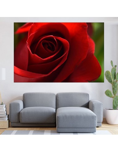 Макро на червена роза - картина пано за стена - 1