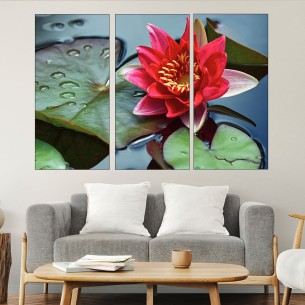 Цъфнала червена водна лилия - картина пано за стена - 1 2
