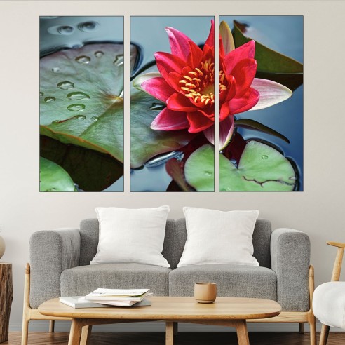 Цъфнала червена водна лилия - картина пано за стена - 2