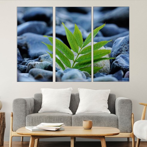 Зелено листо между камъни - картина пано за стена - 1