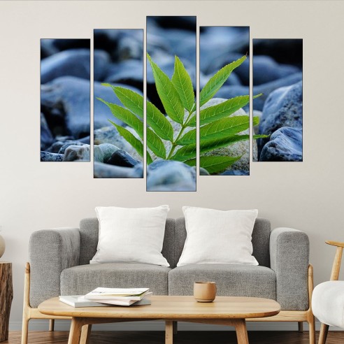 Зелено листо между камъни - картина пано за стена - 3