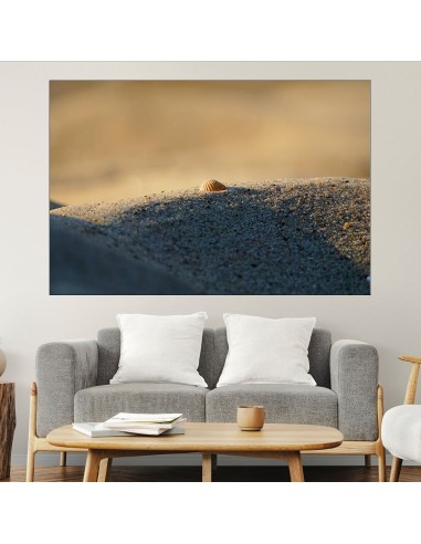 Мидена черупка на пясъка - картина пано за стена - 2