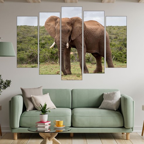 Африкански слон в саваната - картина пано за стена - 3