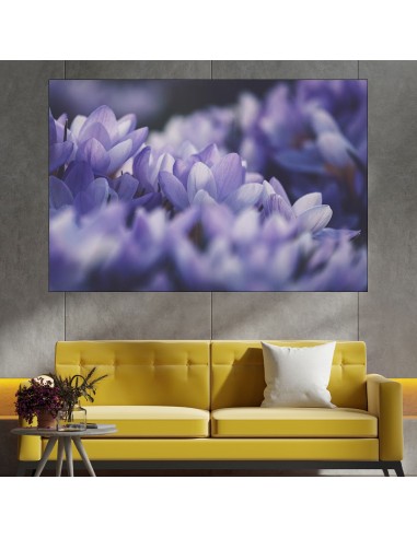 Венчелистчета на лилав минзухар - картина пано за стена - 2