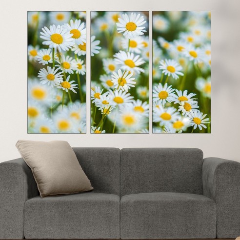 Поляна с бели маргаритки - картина пано за стена - 2
