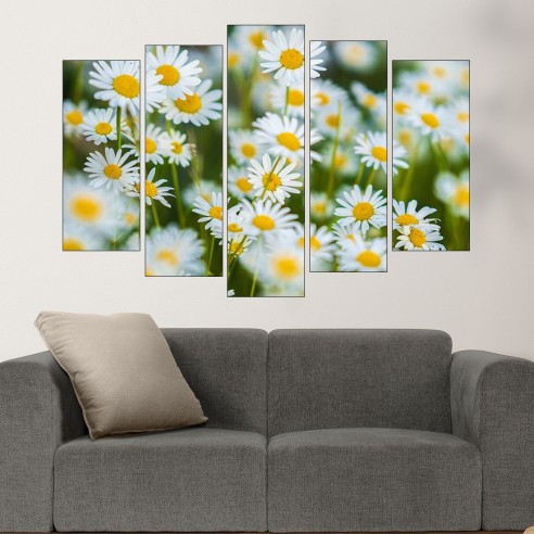 Поляна с бели маргаритки - картина пано за стена - 3