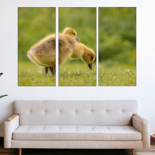 Малки гъсета - картина пано за стена - 1 2