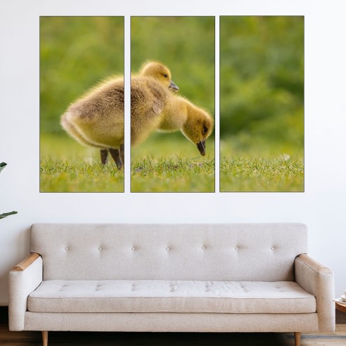 Малки гъсета - картина пано за стена - 2