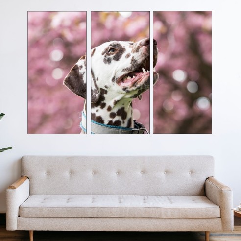 Портрет на далматинец - картина пано за стена - 2