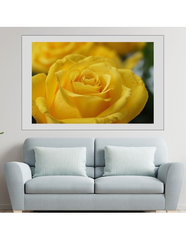Жълта роза в близък план - картина пано за стена - 1