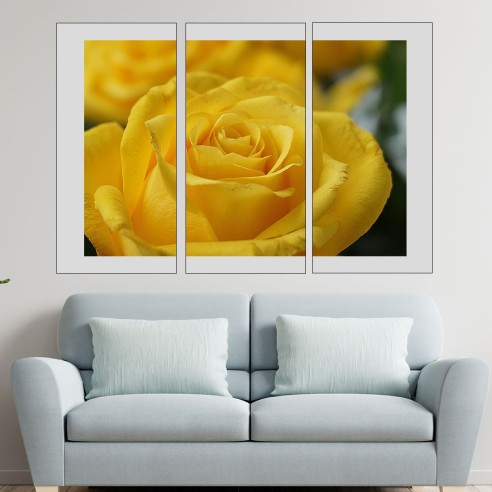 Жълта роза в близък план - картина пано за стена - 2