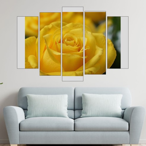 Жълта роза в близък план - картина пано за стена - 3
