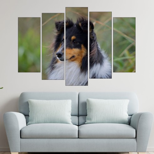 Портрет на Шотландска овчарка - картина пано за стена - 3