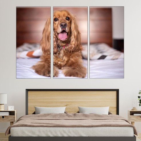 Портрет на Английски Кокер Шпаньол - картина пано за стена - 2