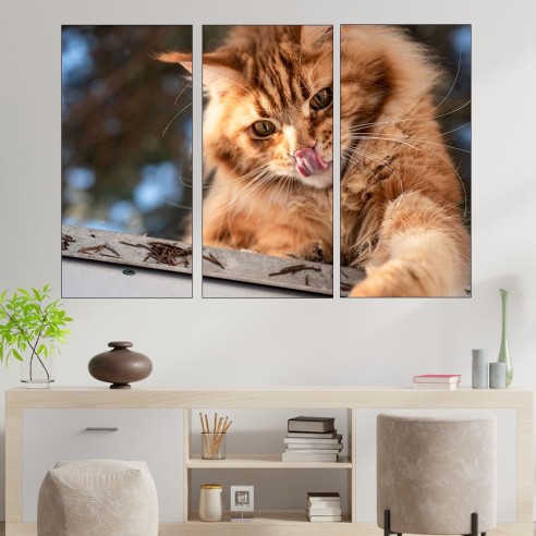 Коте и джинджифил - картина пано за стена - 2